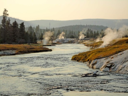 Yellowstone bisontes, osos y géiseres