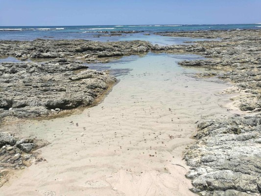 SJ703. SAN JOSÉ (COSTA RICA) 13/8/2017.- Fotografía sin fecha cedida por GOPlaya.cr que muestra una vista de la playa Cuarzo, en la provincia de Guanacaste (Costa Rica). El nuevo sitio web GOPlaya.cr permite explorar más de 200 playas de Costa Rica, desde las más remotas y vírgenes hasta las más turísticas, según el gusto de cada amante de la naturaleza. EFE/Armando Del Vecchio/GOPlaya.cr