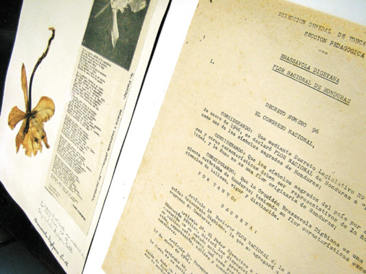 El inquieto profesor Molina