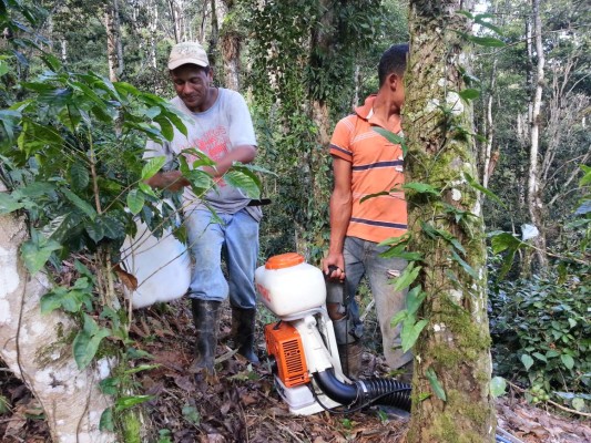 Santa Rosa será sede de Congreso Mesoamericano del Café