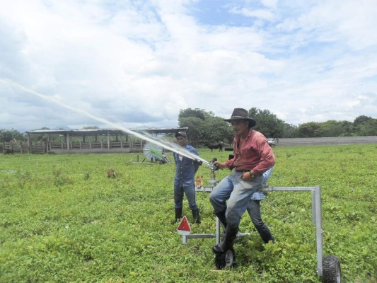 Instalarán sistemas de riego para apoyar a 100,000 productores