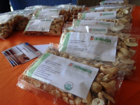 Productores de Choluteca exportarán marañón a Alemania