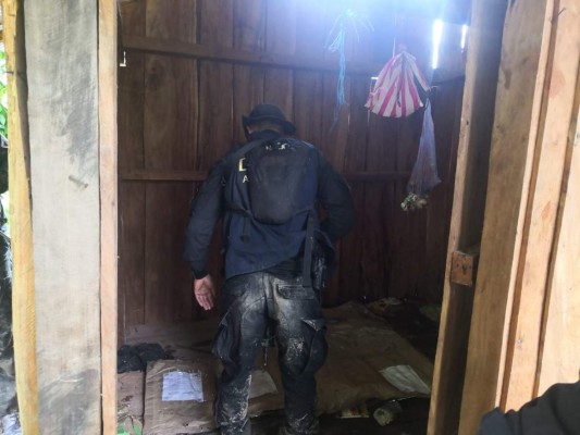 Policía Nacional concluye con la erradicación de narcolaboraotio y cultivo de supuesta marihuana