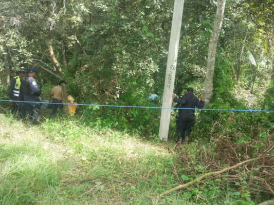 Asesinan a hermano de alcalde en el occidente de Honduras