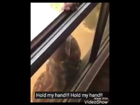 Graba video de caída de empleada en vez de ayudarla