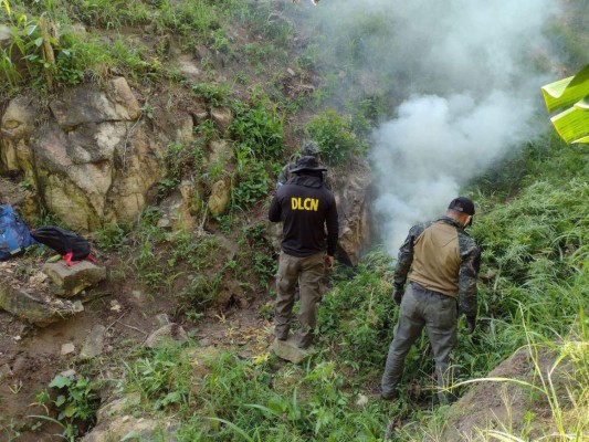 Foto: La Prensa