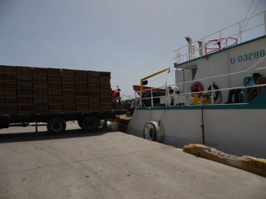 Inicia la temporada de pesca y dueños de botes piden dragar el muelle