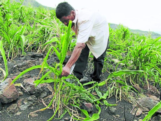 Temporada de huracanes agrava crisis alimentaria centroamericana