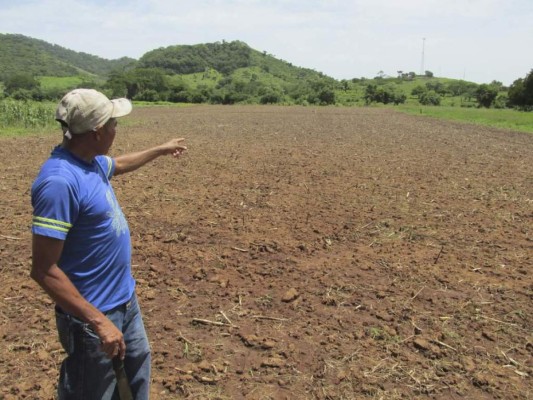 ONU: Sequía provocará una crisis alimentaria en toda CA