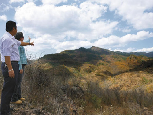 Nombran comisión para investigar terreno adjudicado a César Ham