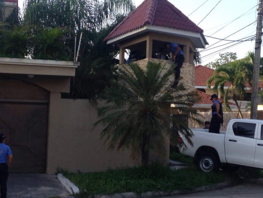 Cocodrilo, aves exóticas y venados hallan en casa de lujo en San Pedro Sula