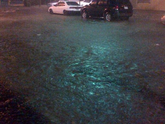 Tormenta con fuertes vientos inunda calles de San Pedro Sula