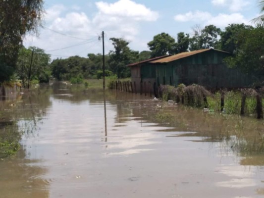 Foto: La Prensa