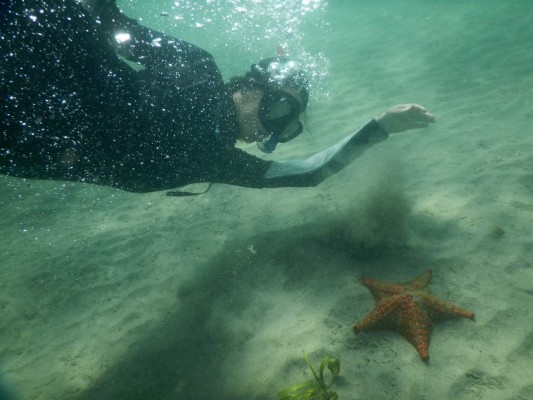 Inician proyecto para cuidar banco de estrellas y laguna de Guaimoreto