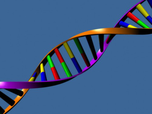 Descubren segundo código genético en el ADN