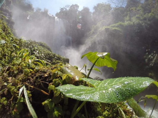 Honduras firmará acuerdo de Cambio Climático en Nueva York