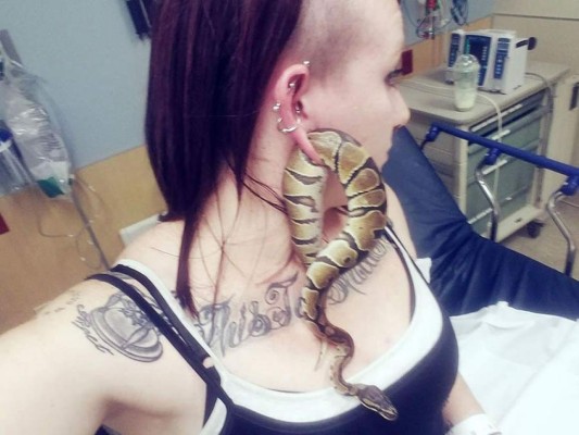 Serpiente queda atrapada en la oreja de su dueña