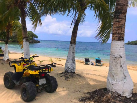 ¿Estás de acuerdo que multen con cárcel a quienes orinen en público en las playas de Roatán?