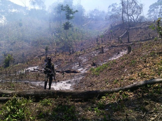 Investigan mano criminal en incendio forestal