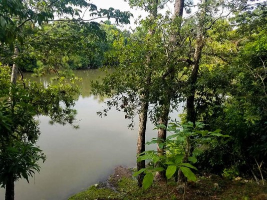 Tierra de las artesanías del junco, así es el municipio de Arada, Santa Bárbara