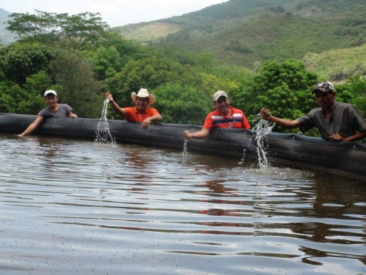 Gobierno invertirá L18 millones en 430 cosechadoras de agua en el corredor seco
