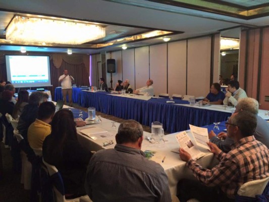 Invertirán 207 millones en reforestación