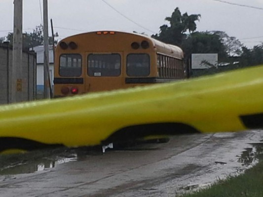 Ultiman a otro conductor de bus en San Pedro Sula