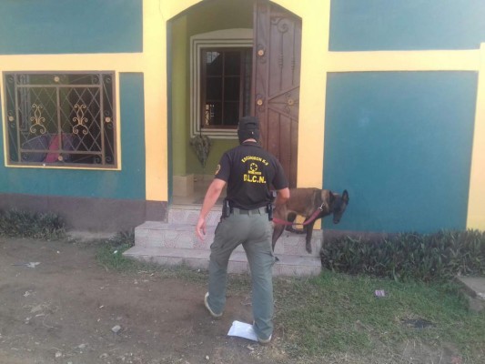 Drogas, armas y dinero hallan en operativos en Morazán, Yoro
