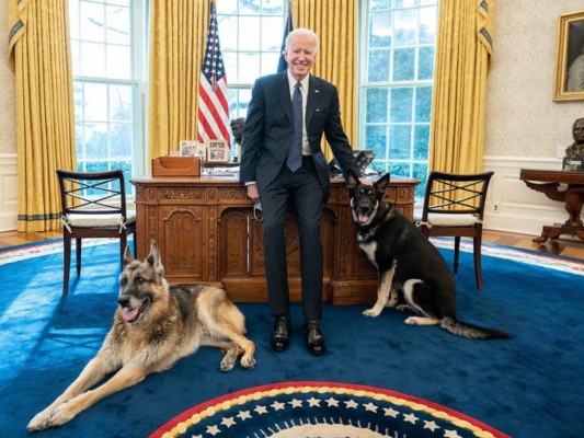 Biden manda sus perros a Delaware tras ataque a agente del Servicio Secreto