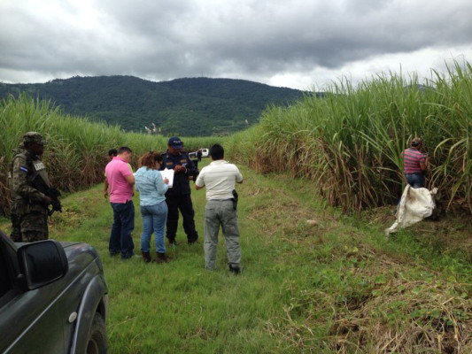 Hallan muerto a hombre en Chamelecón