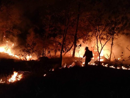 Incendios arrasan con 60,665 hectáreas de bosque y pasto en Honduras