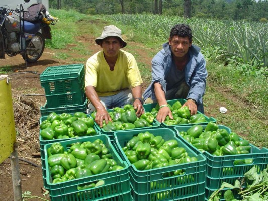 Auguran un repunte comercial con consolidación de tratados