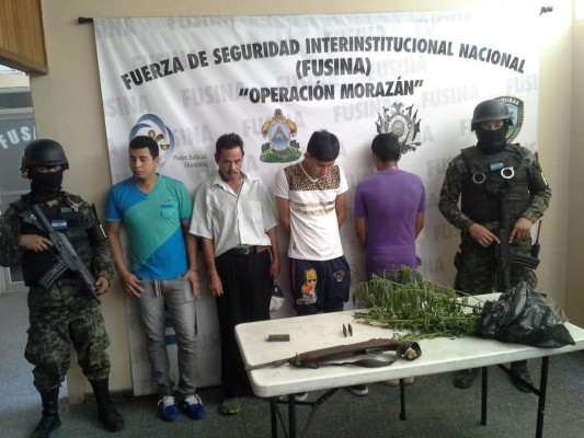 Decomisan plantas de marihuana y una escopeta 3030