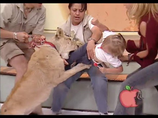 13 años después se vuelve viral ataque de león a una niña