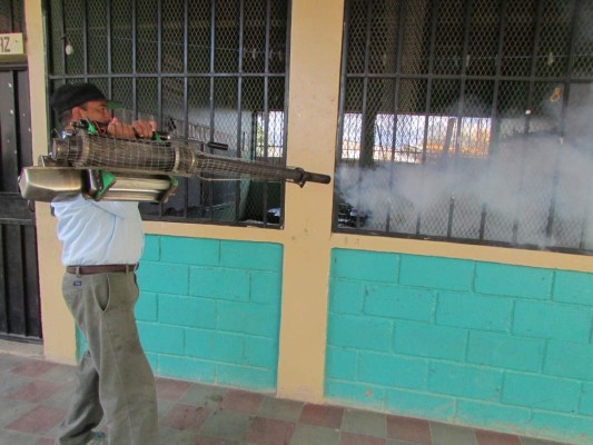 Ministros de Salud se reunirán en Honduras por el virus del Zika