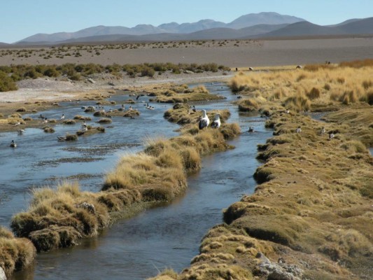 Bolivia y Chile enfrentados por un río fronterizo