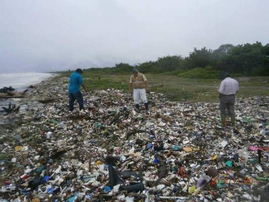 Limitan esfuerzos para evitar la basura en las playas de Omoa