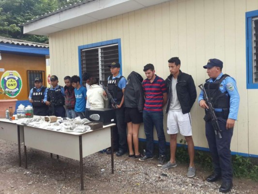 Desmantelan laboratorio donde procesaban marihuana