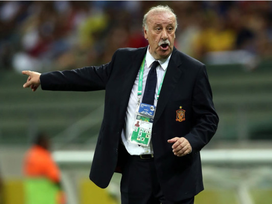 Del Bosque votó por Ribéry para el Balón de Oro