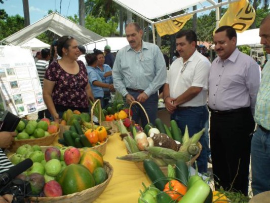 Escuelas agrícolas validarán la calidad de granos básicos