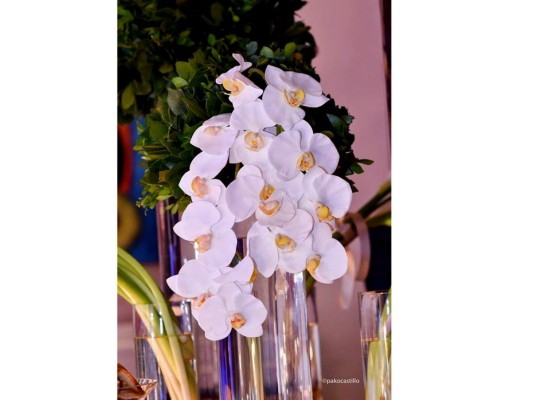 Fiesta de cumpleaños para Margarita Ruiz Gauggel de Kattán