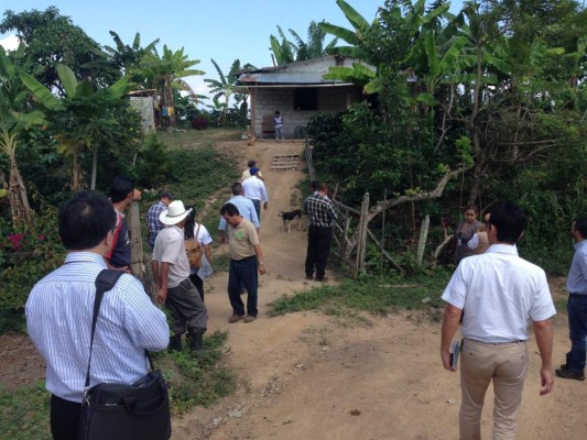 Japón implementa proyecto agrícola