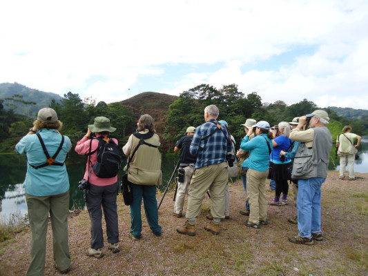 El aviturismo se abre camino en Honduras