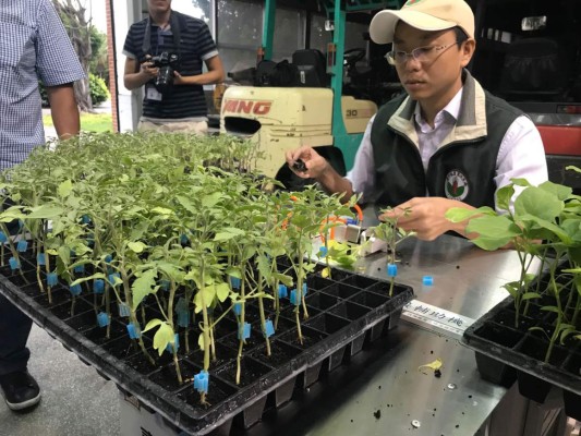 Taiwán contribuye en mejorar el agro hondureño