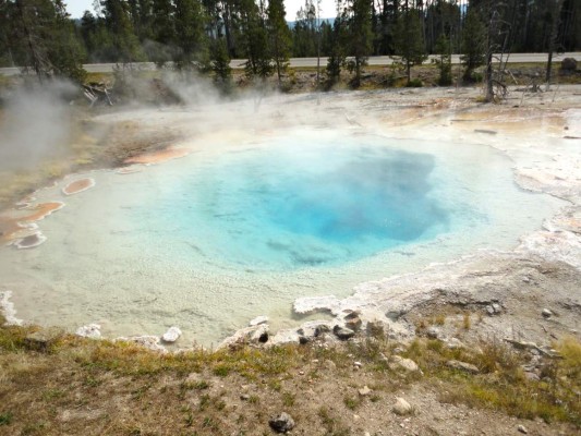 Yellowstone bisontes, osos y géiseres