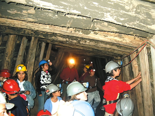 Minero sólo por un día