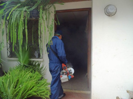 Zika, dengue y chikungunya bajan un 91%