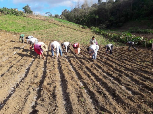 Destinan más de L1,000 millones para obras sociales