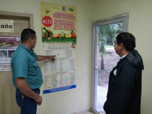 El Valle del Aguán busca certificación libre de plagas