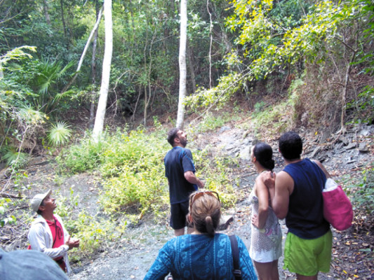 Cayos Cochinos, un paraíso cautivador